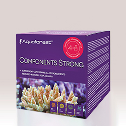 ComponentsStrong-1